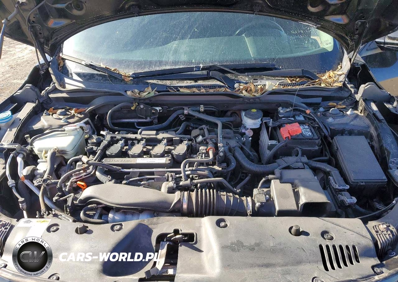 2019 Honda Civic Ex VIN:2HGFC1F35KH651388 - 11
