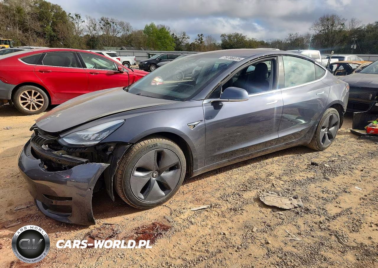 2019 Tesla Model 3