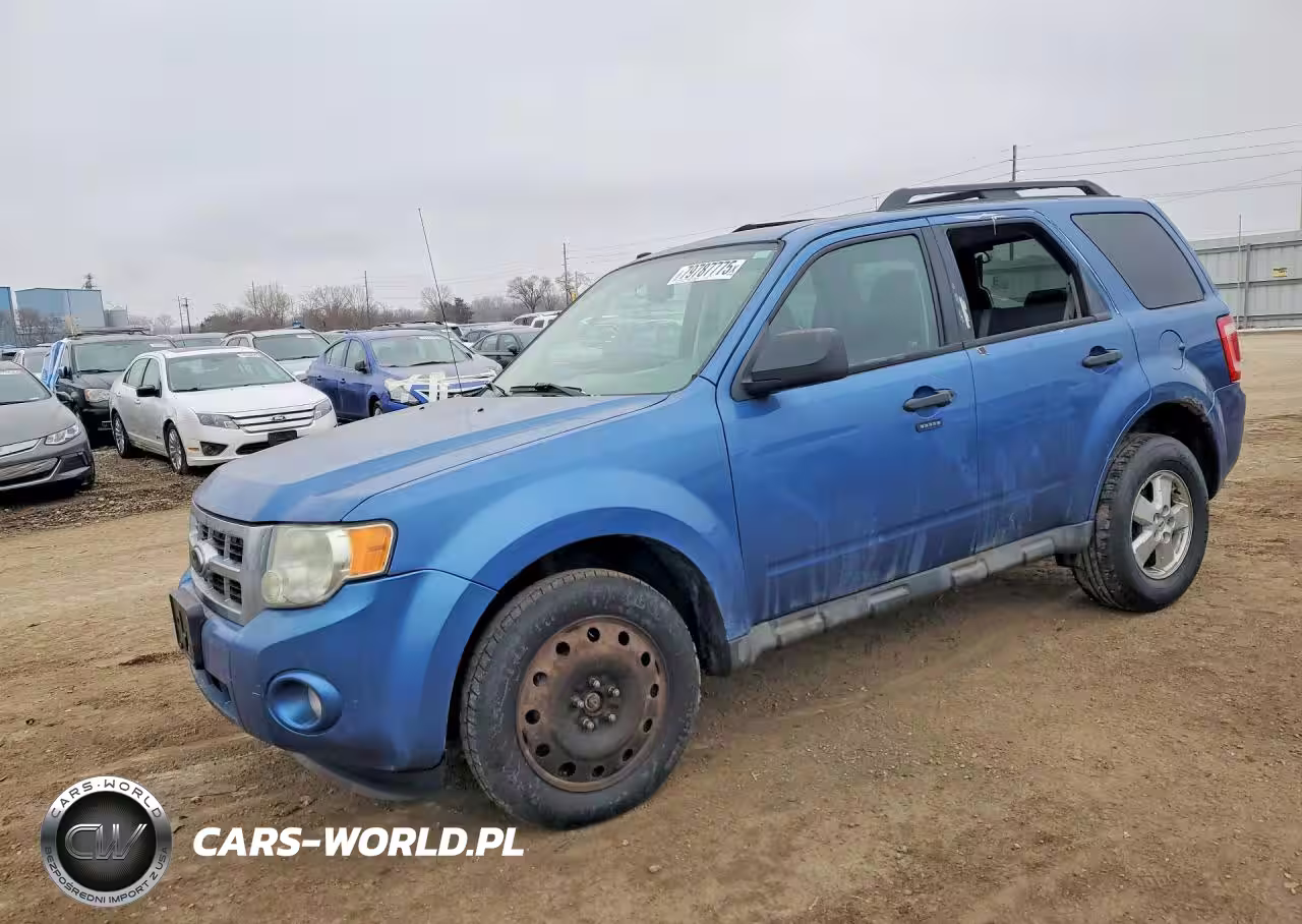 2010 Ford Escape Xlt