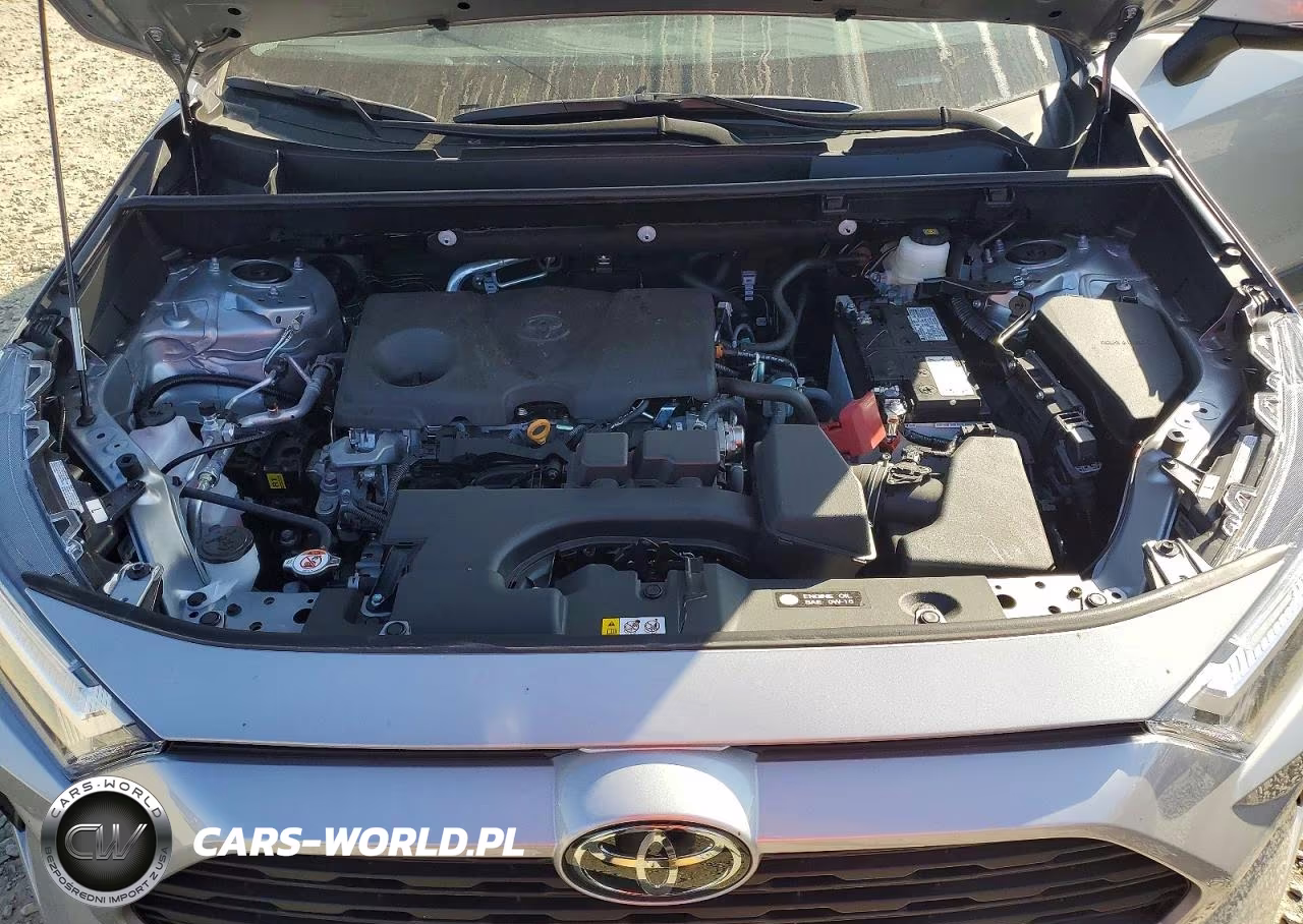 2025 Toyota Rav4 Xle VIN:2T3W1RFV6SW431116 - 12