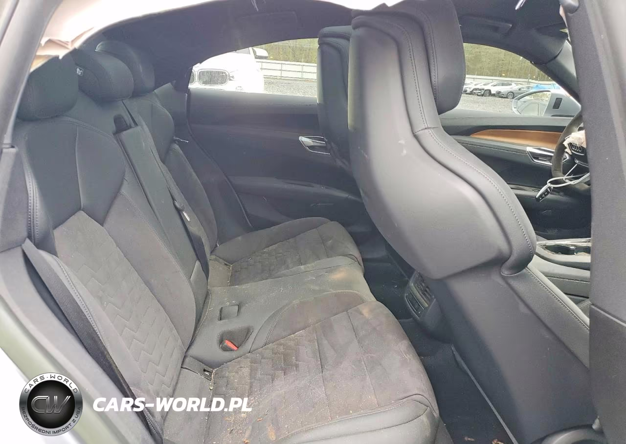 2023 Audi E-Tron Gt Prestige VIN:WAUDJBFW0P7005395 - 10