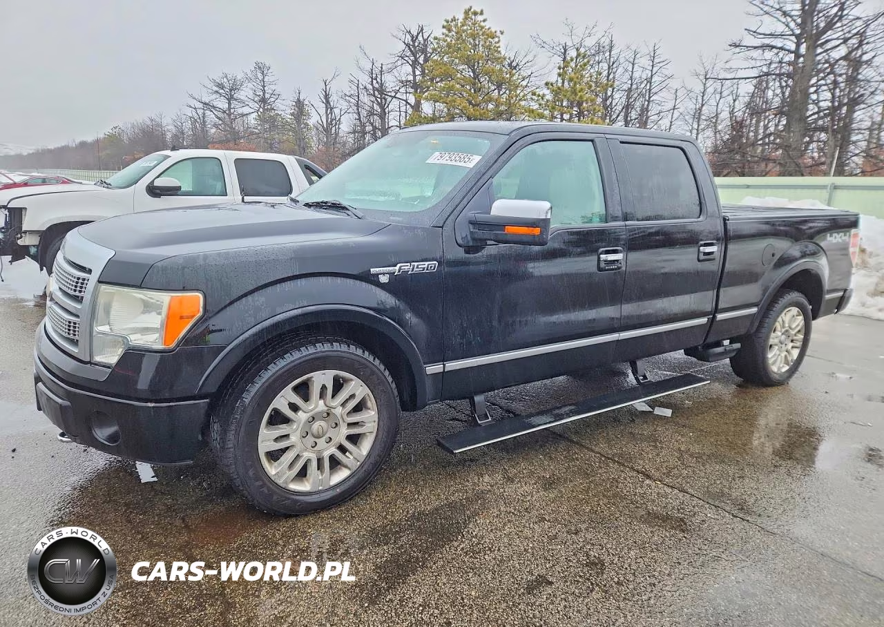 2009 Ford F150 Platinum