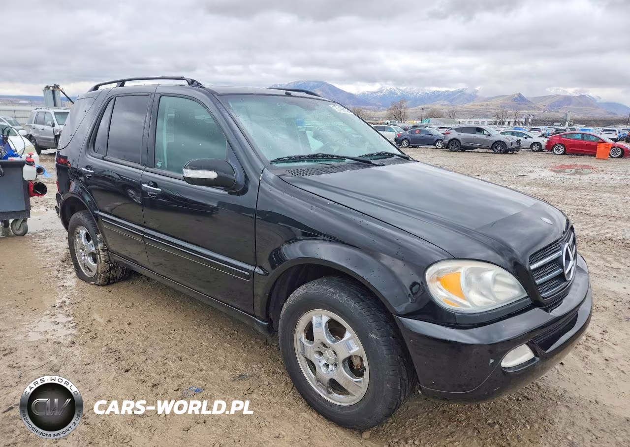 2003 Mercedes-Benz Ml 500 VIN:4JGAB75E93A388206 - 4