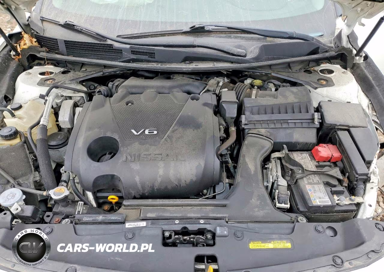 2020 Nissan Maxima 3.5 Sl VIN:1N4AA6DV6LC380318 - 11