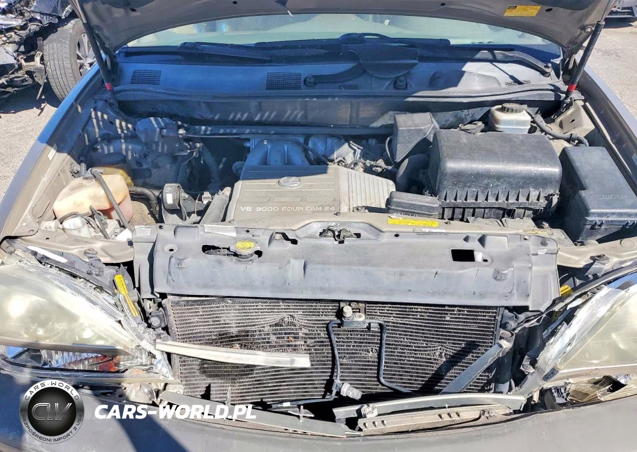 2001 Lexus Rx 300 Base VIN:JTJGF10U110103402 - 12