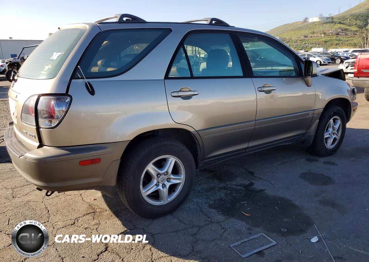2001 Lexus Rx 300 Base VIN:JTJGF10U110103402 - 3