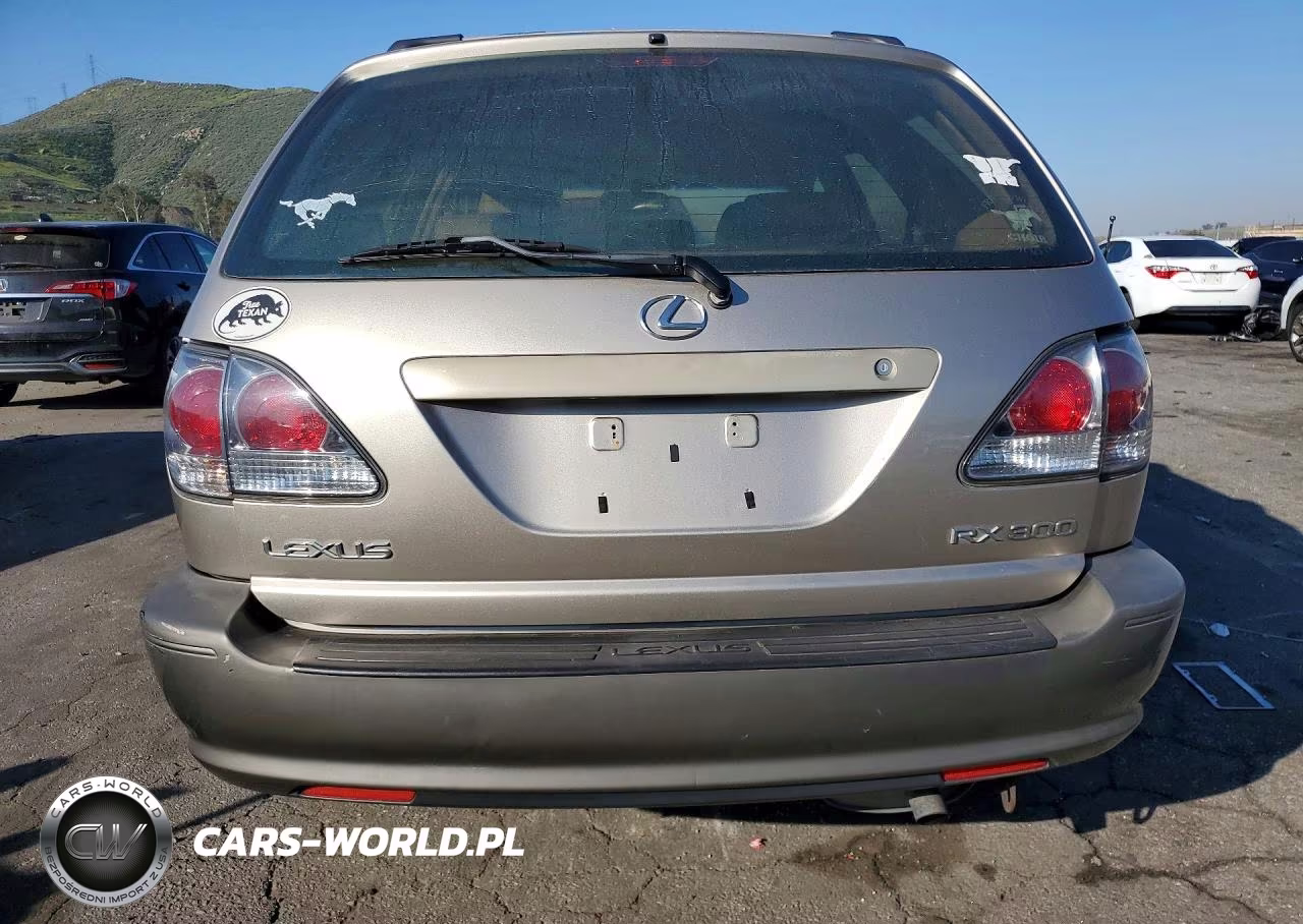 2001 Lexus Rx 300 Base VIN:JTJGF10U110103402 - 6