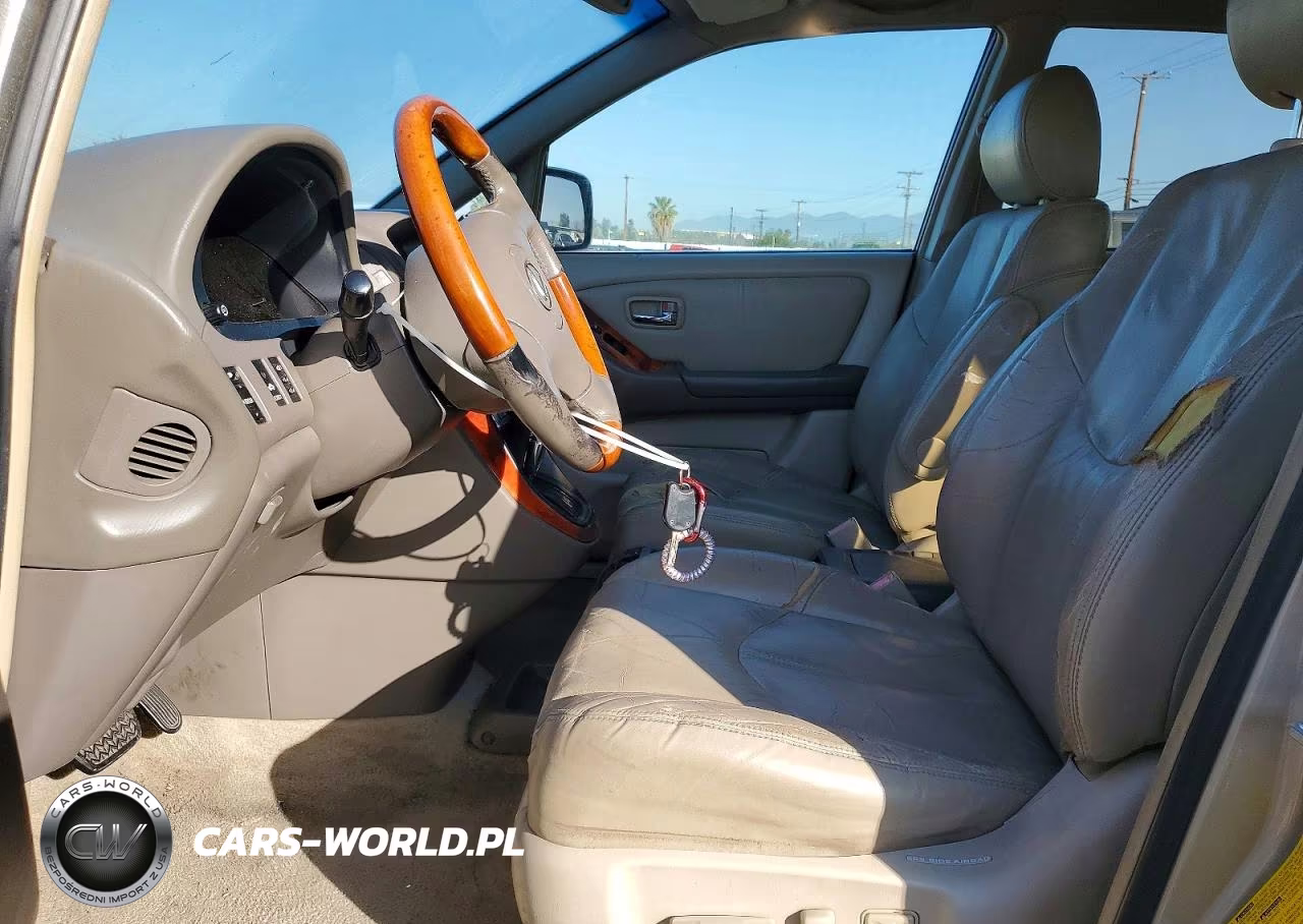 2001 Lexus Rx 300 Base VIN:JTJGF10U110103402 - 7