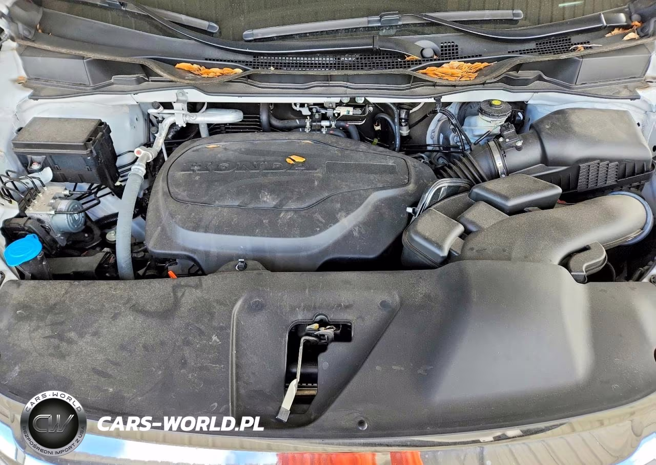 2024 Honda Odyssey Exl VIN:5FNRL6H65RB015053 - 12
