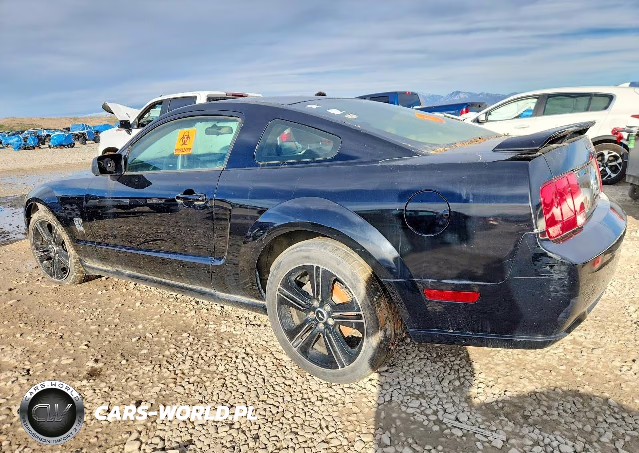 2006 Ford Mustang Gt VIN:1ZVFT82H365130818 - 2