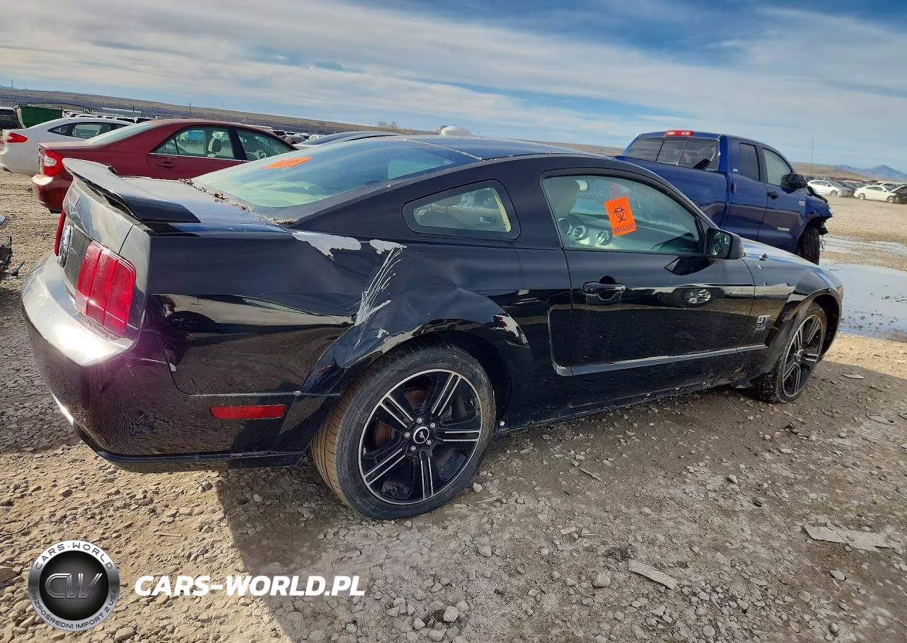2006 Ford Mustang Gt VIN:1ZVFT82H365130818 - 3