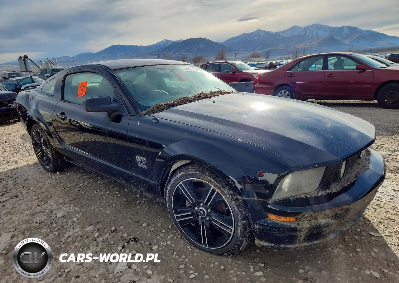 2006 Ford Mustang Gt VIN:1ZVFT82H365130818 - 4