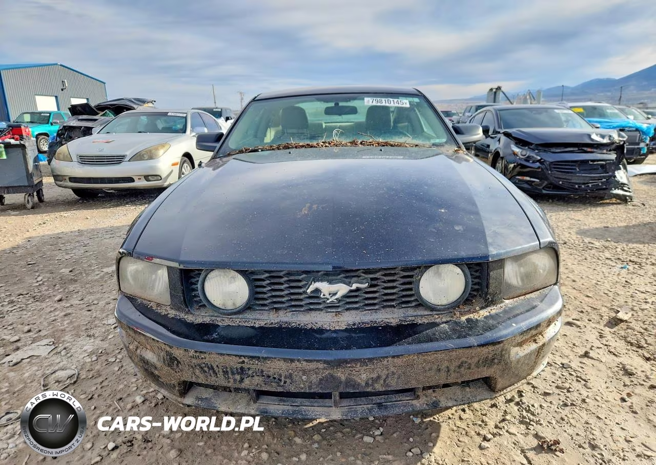 2006 Ford Mustang Gt VIN:1ZVFT82H365130818 - 5