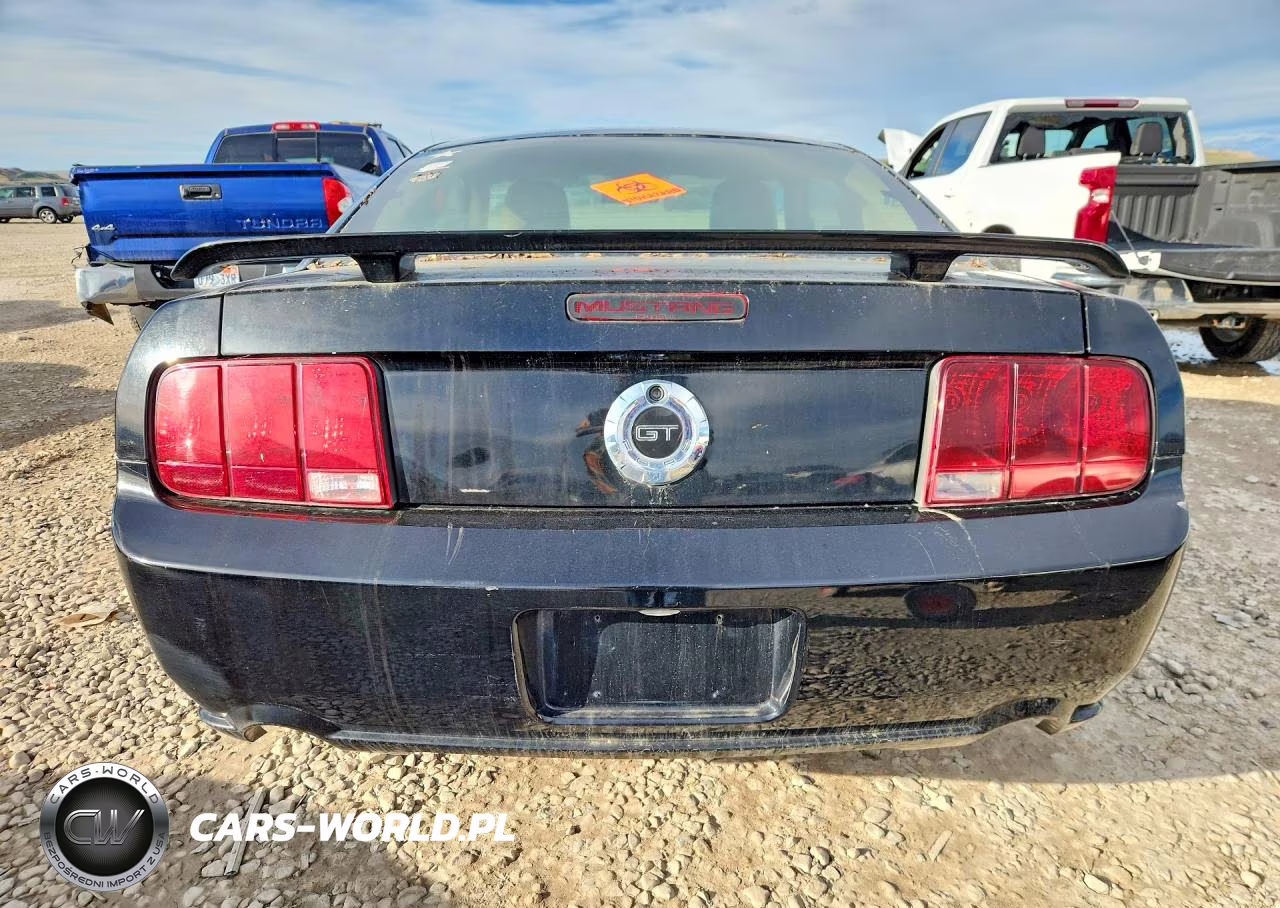 2006 Ford Mustang Gt VIN:1ZVFT82H365130818 - 6