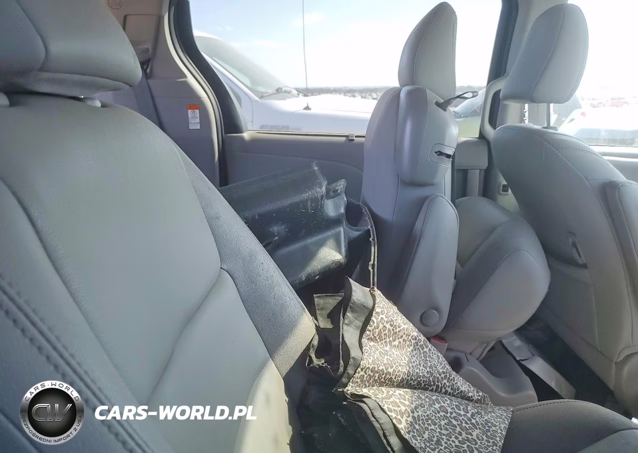 2020 Toyota Sienna Xle 8-Passenger VIN:5TDYZ3DC5LS070402 - 10