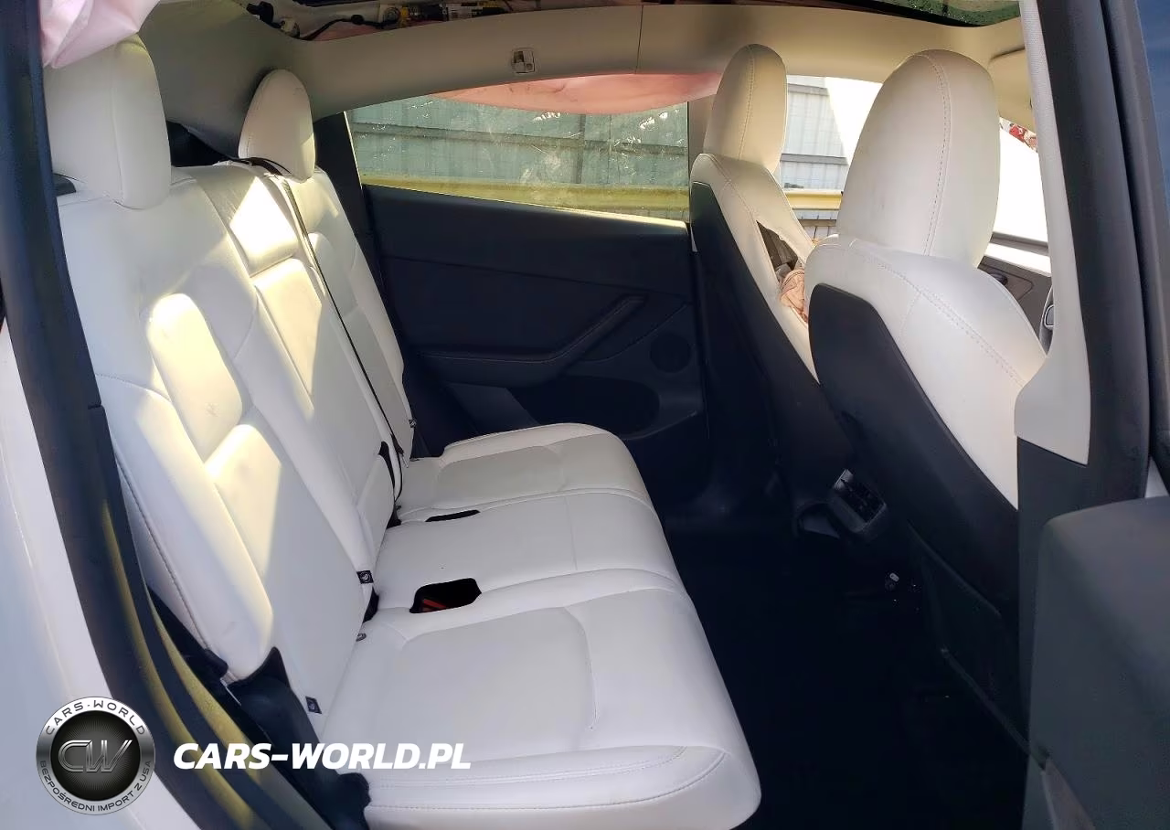 2024 Tesla Model Y VIN:7SAYGAEEXRF206646 - 10