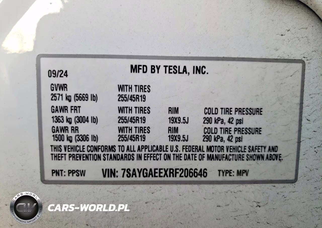 2024 Tesla Model Y VIN:7SAYGAEEXRF206646 - 12