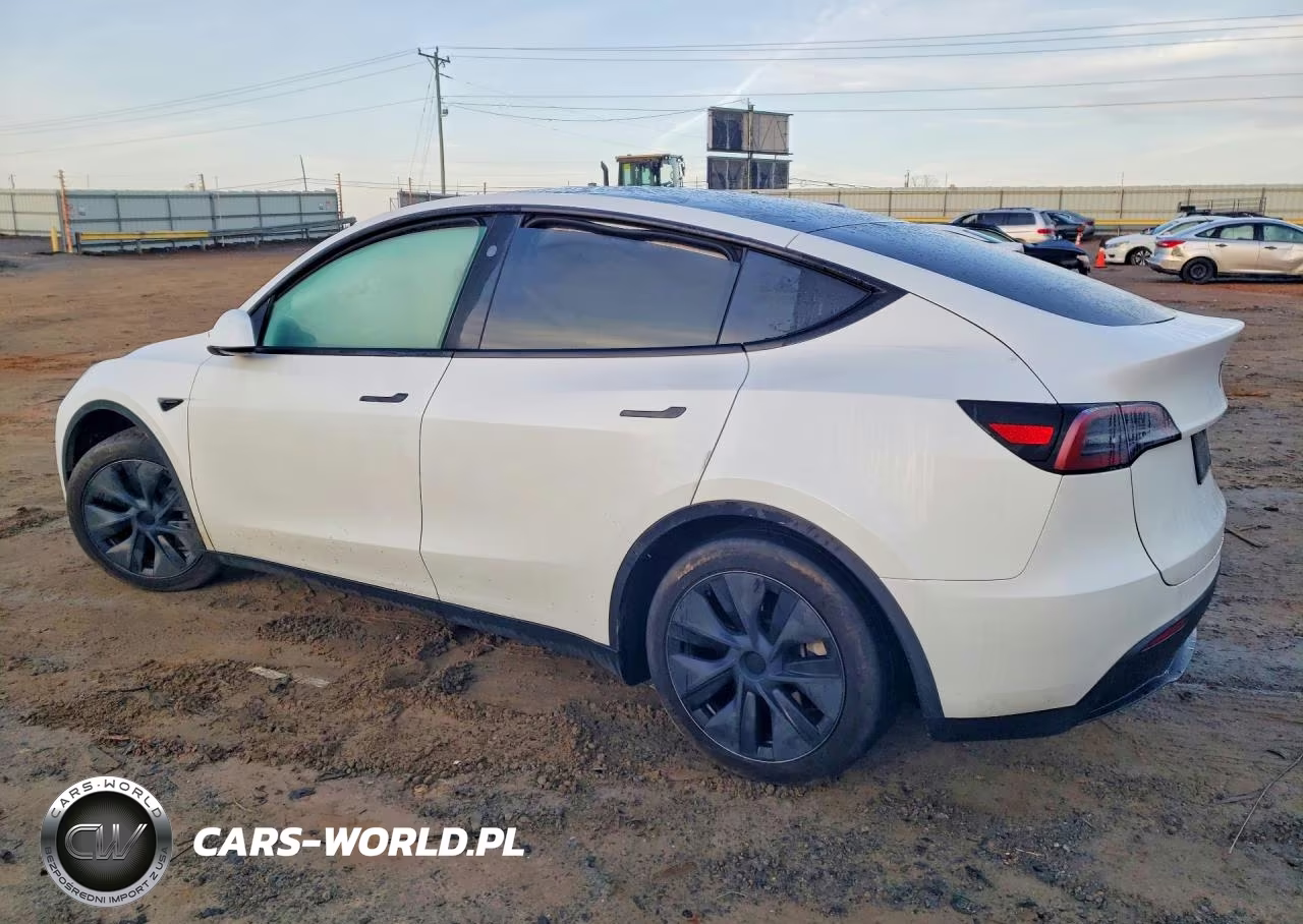 2024 Tesla Model Y VIN:7SAYGAEEXRF206646 - 2