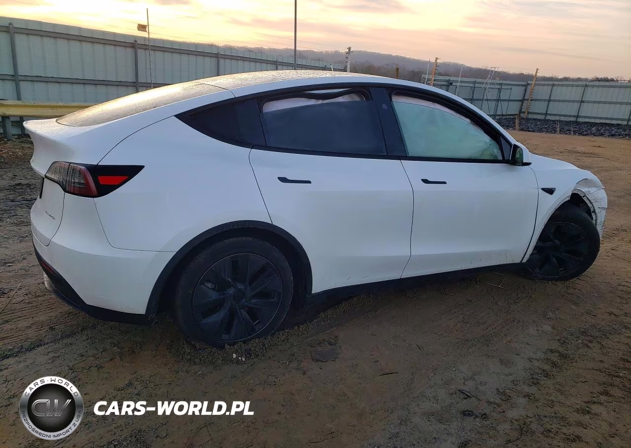 2024 Tesla Model Y VIN:7SAYGAEEXRF206646 - 3