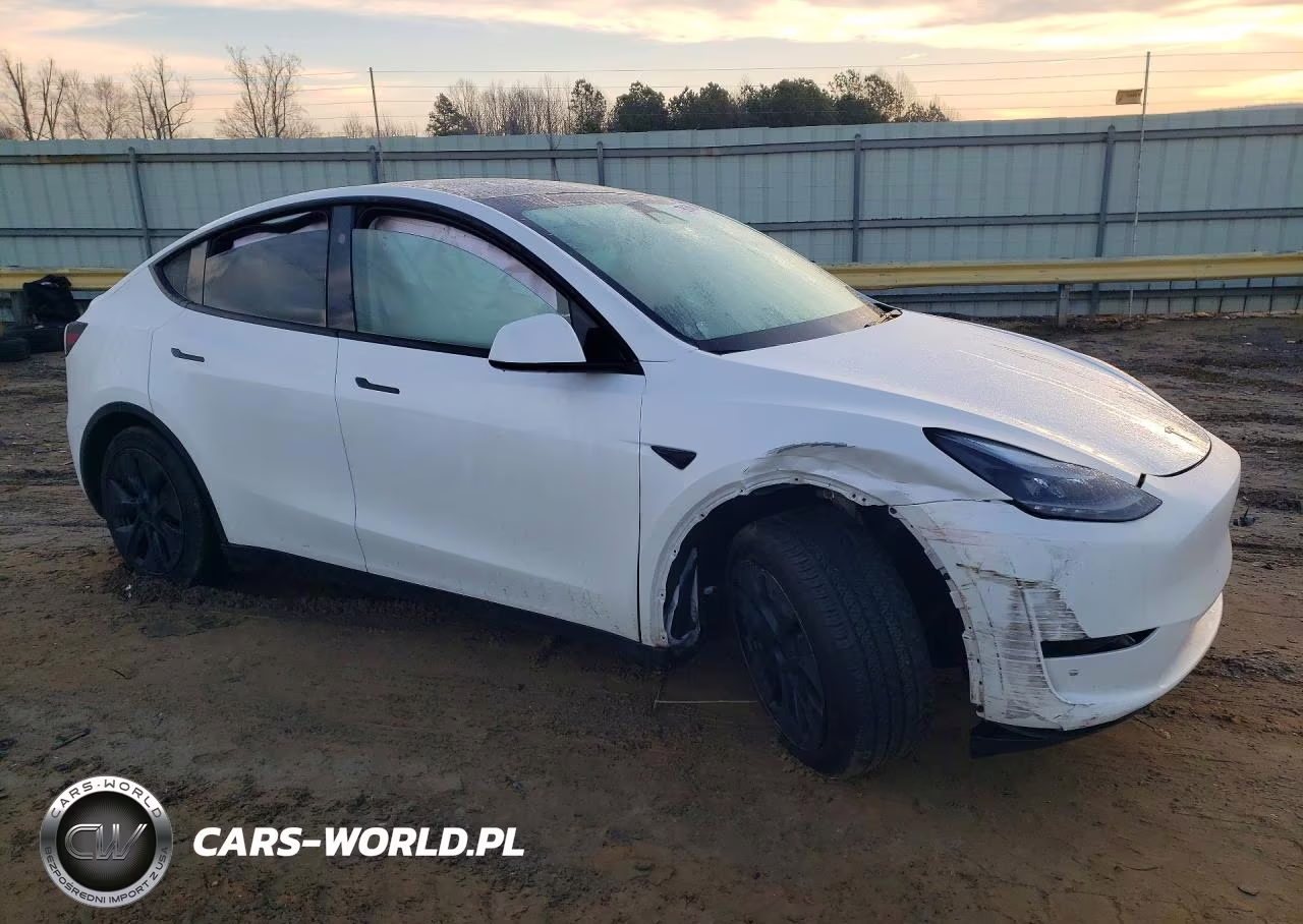 2024 Tesla Model Y VIN:7SAYGAEEXRF206646 - 4