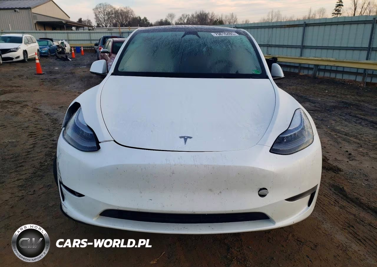 2024 Tesla Model Y VIN:7SAYGAEEXRF206646 - 5