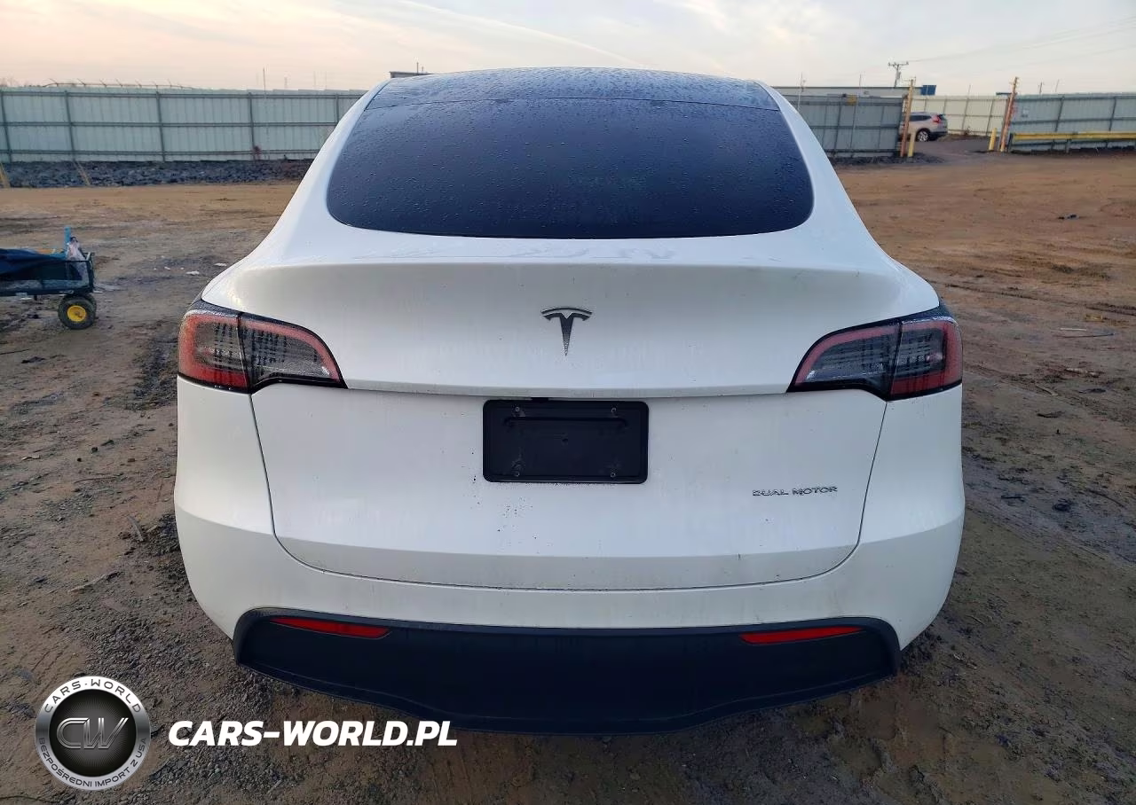 2024 Tesla Model Y VIN:7SAYGAEEXRF206646 - 6