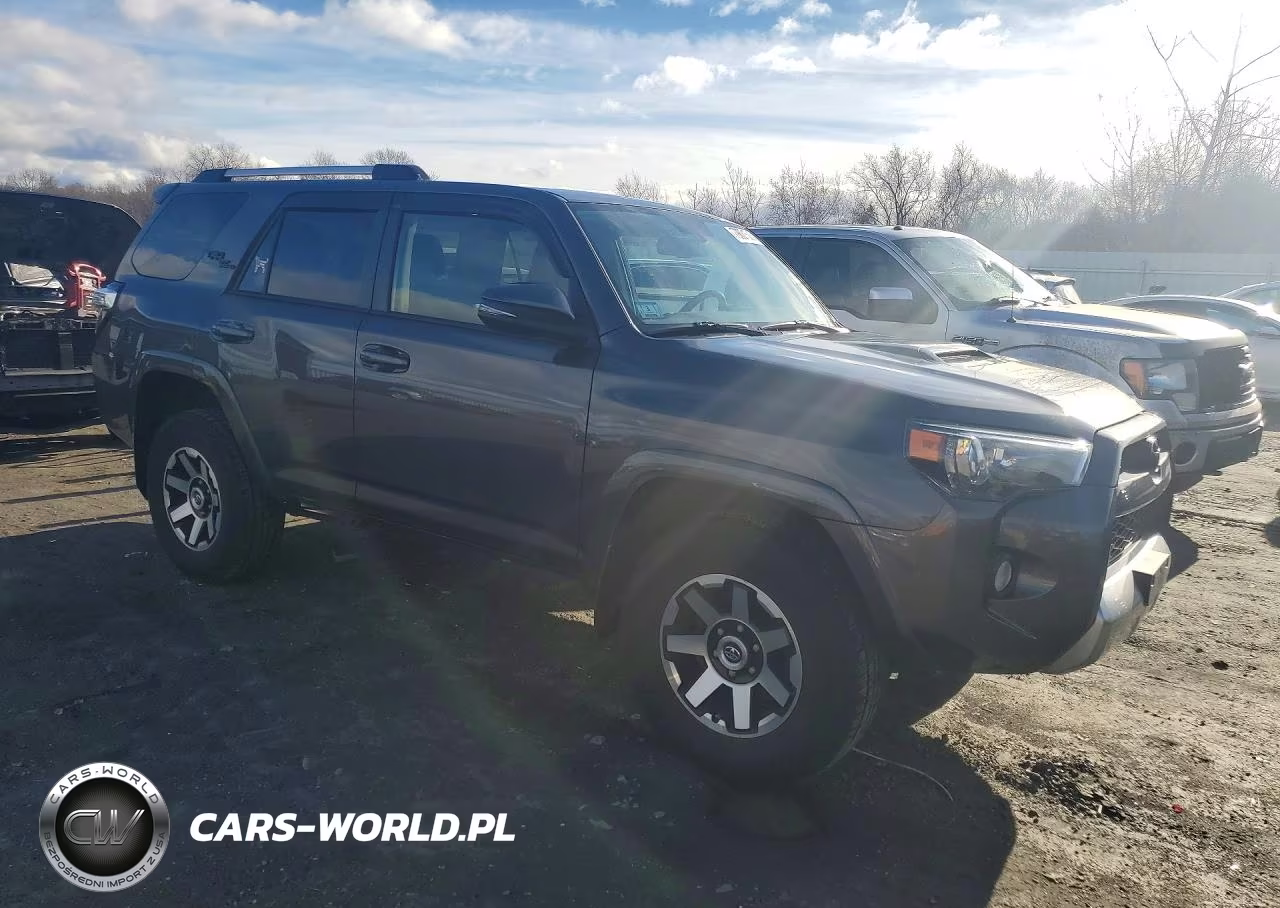2018 Toyota 4Runner Trd Off Road Premium VIN:JTEBU5JR9J5599293 - 4
