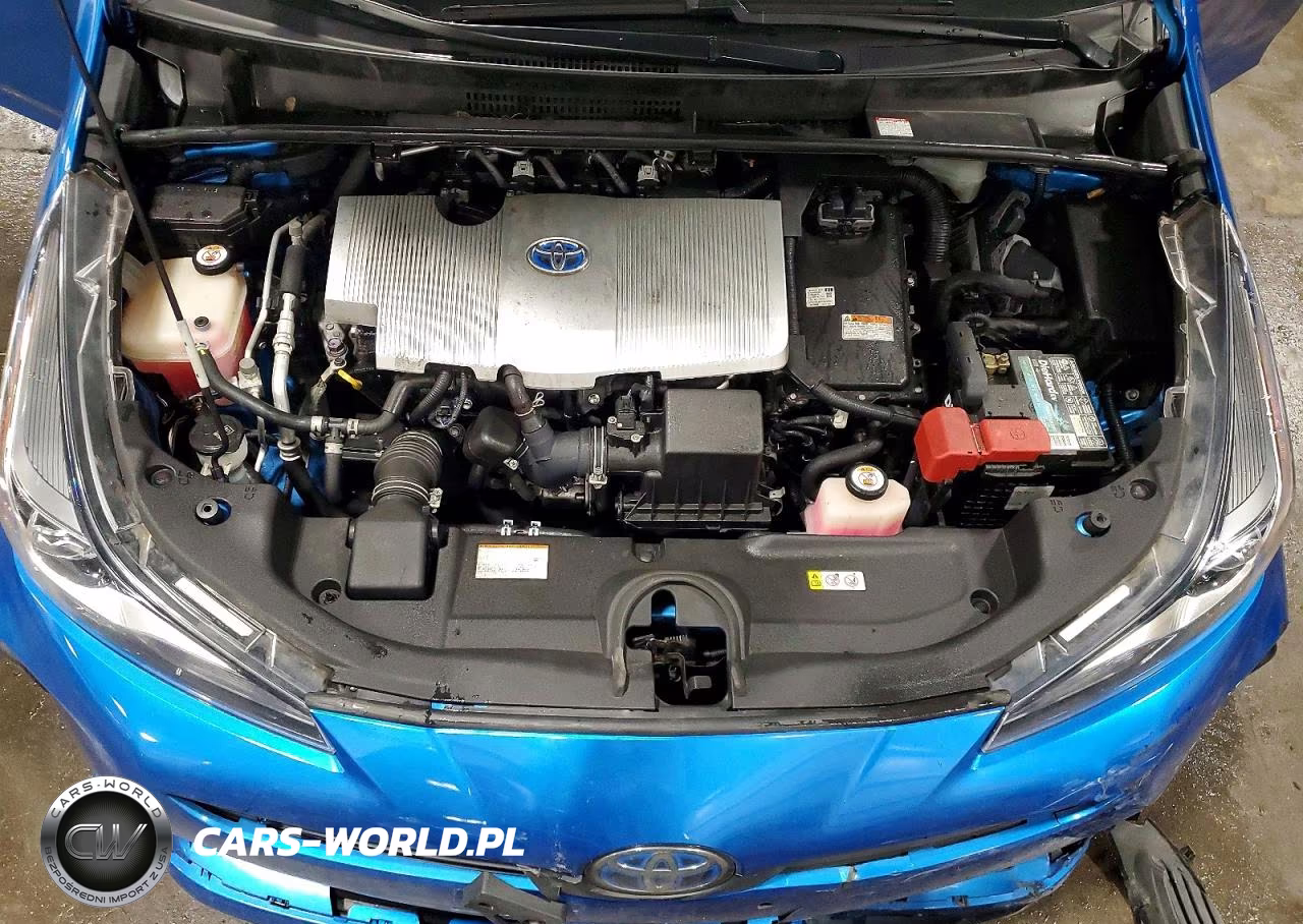 2019 Toyota Prius Xle VIN:JTDKARFU9K3100202 - 11