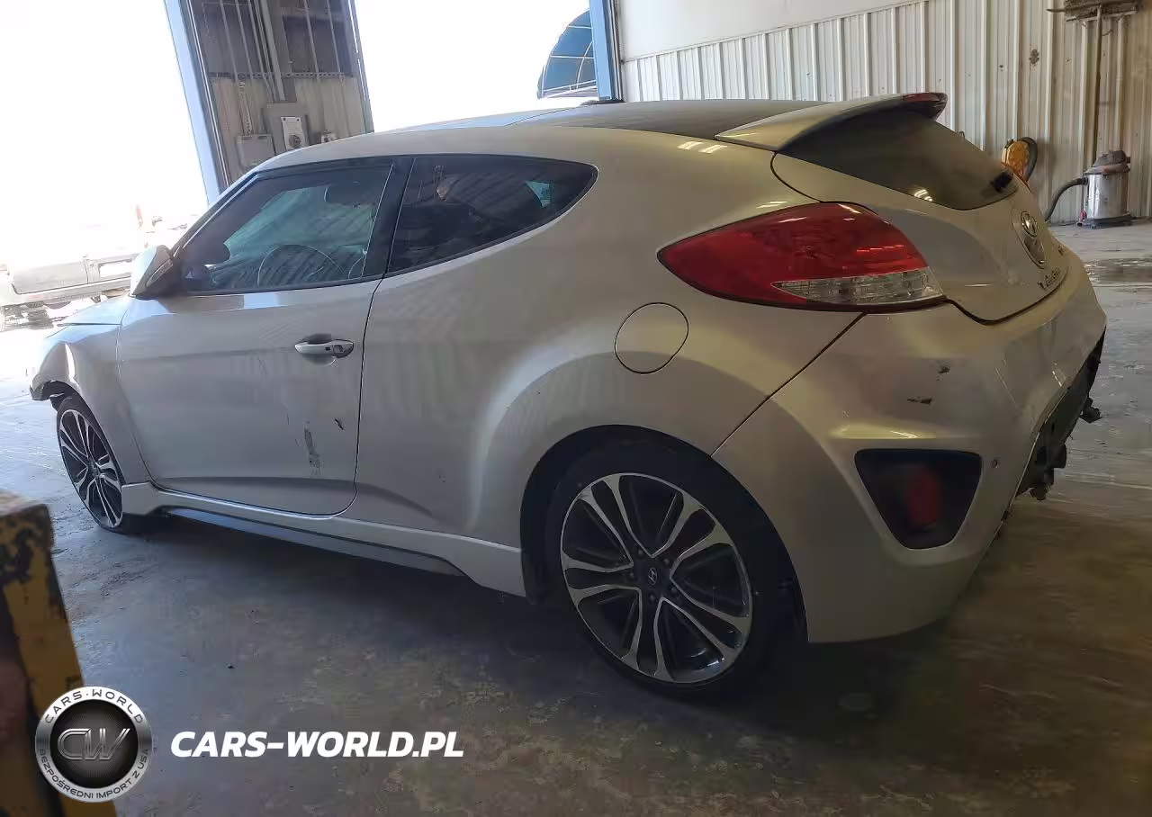 2016 Hyundai Veloster Turbo VIN:KMHTC6AE9GU300314 - 2
