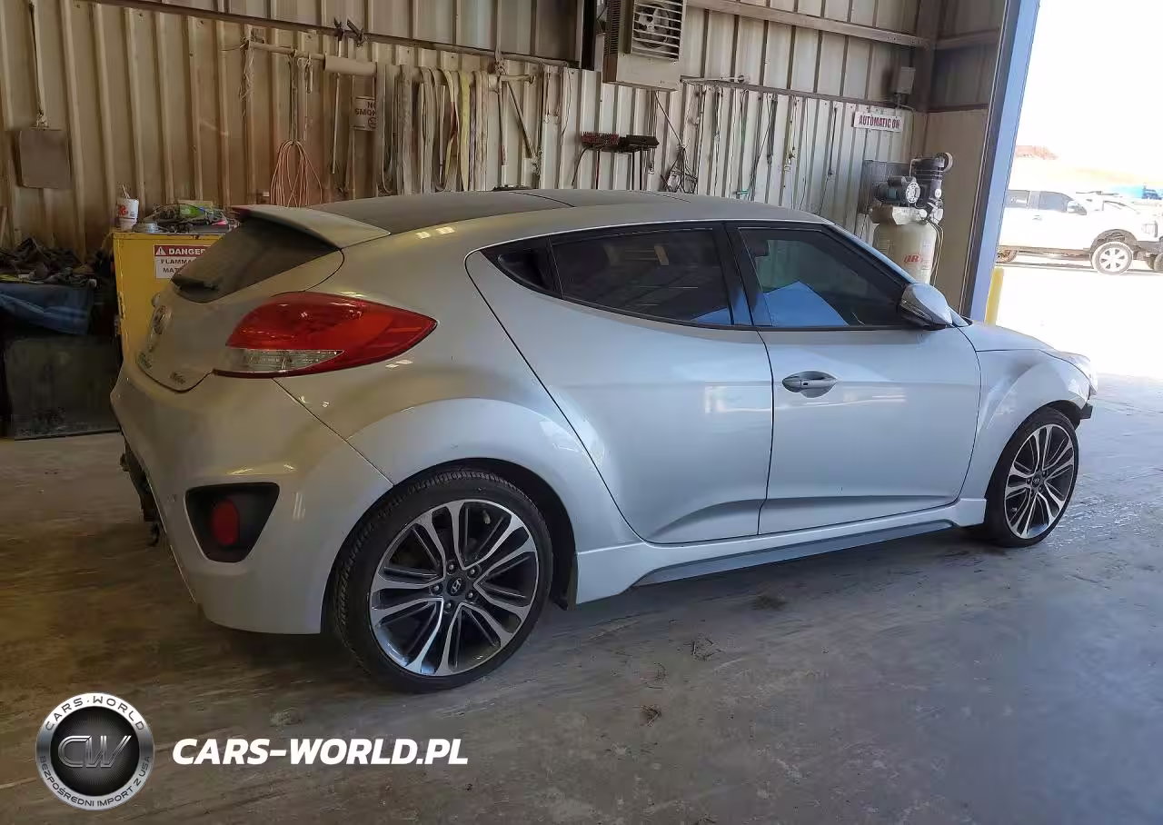 2016 Hyundai Veloster Turbo VIN:KMHTC6AE9GU300314 - 3