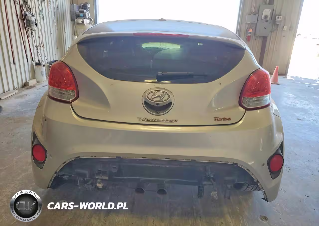 2016 Hyundai Veloster Turbo VIN:KMHTC6AE9GU300314 - 6