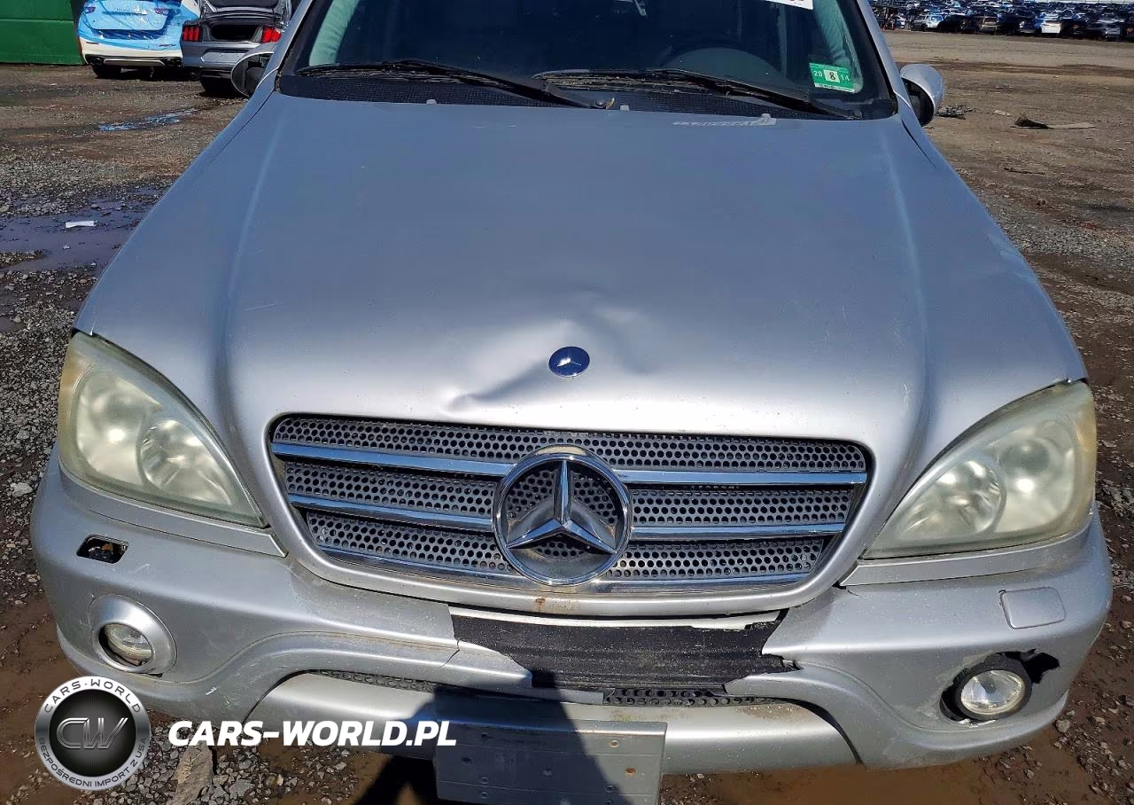 2003 Mercedes-Benz M-Class VIN:4JGAB75E63A419217 - 12