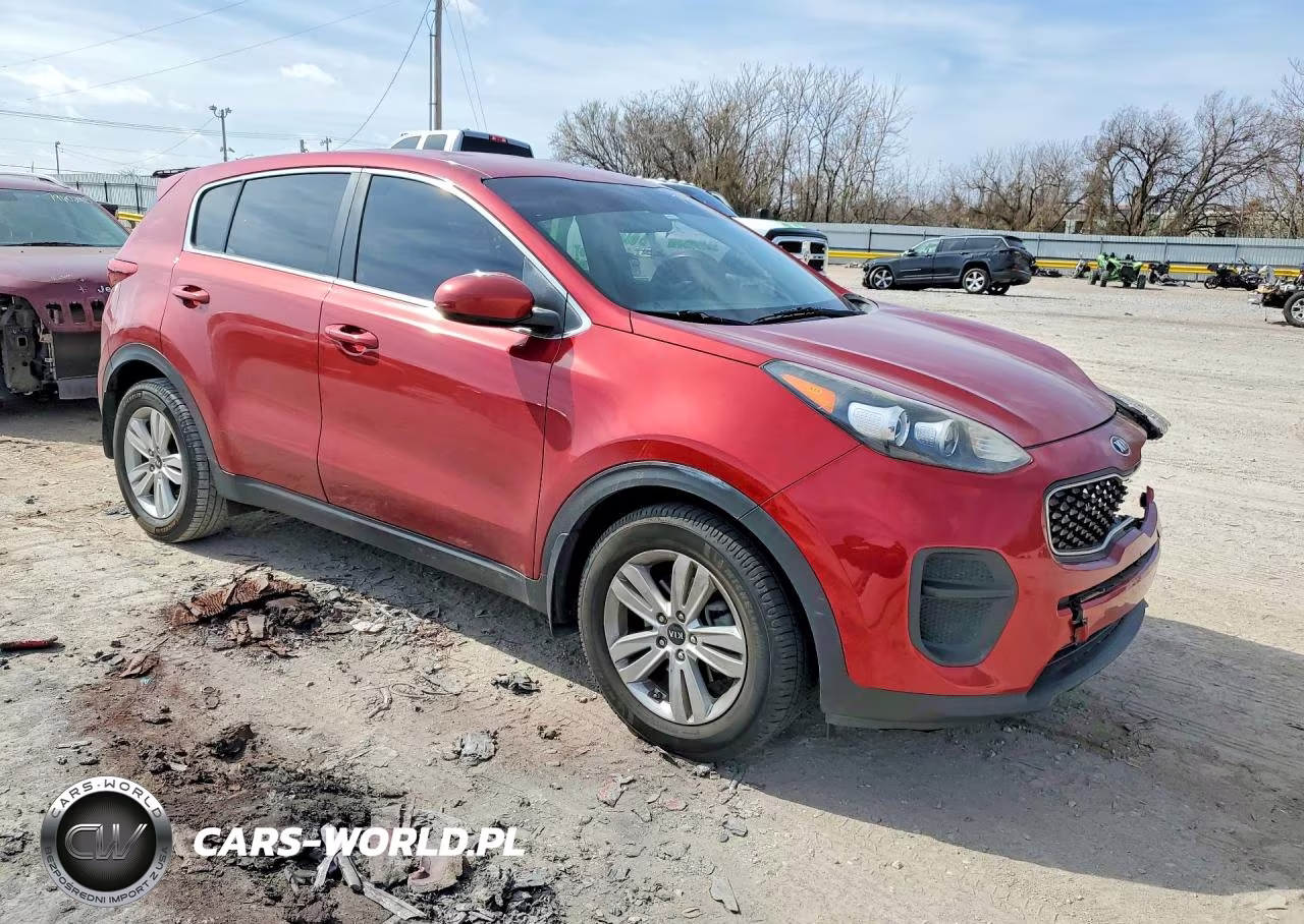 2017 Kia Sportage Lx VIN:KNDPM3AC1H7244823 - 4