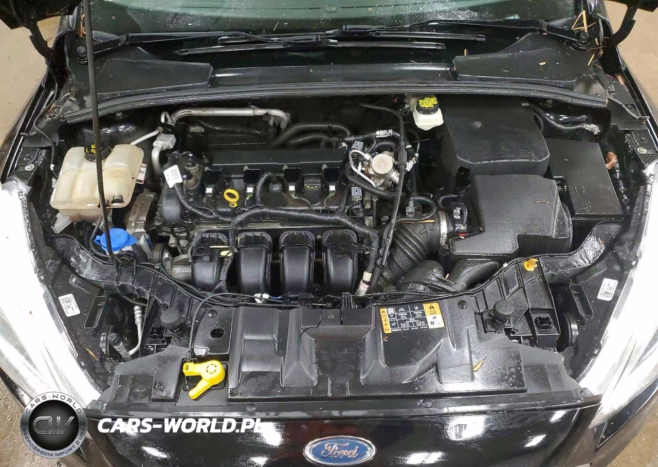 2017 Ford Focus Se VIN:1FADP3F22HL295206 - 11