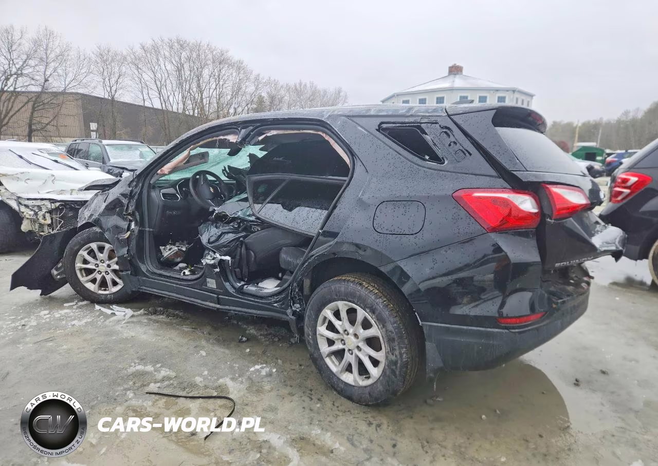 2019 Chevrolet Equinox Ls VIN:3GNAXHEV9KL344202 - 2