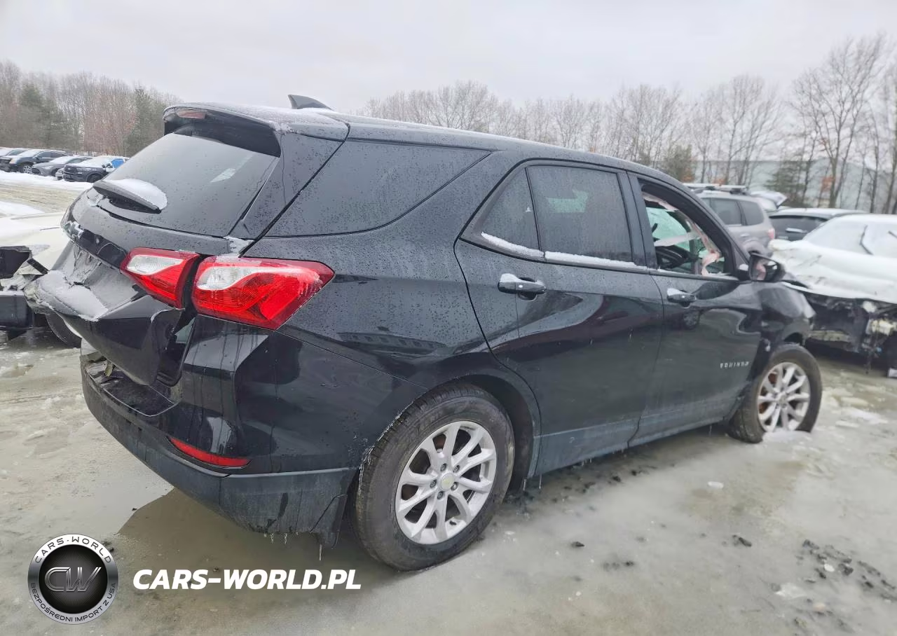 2019 Chevrolet Equinox Ls VIN:3GNAXHEV9KL344202 - 3