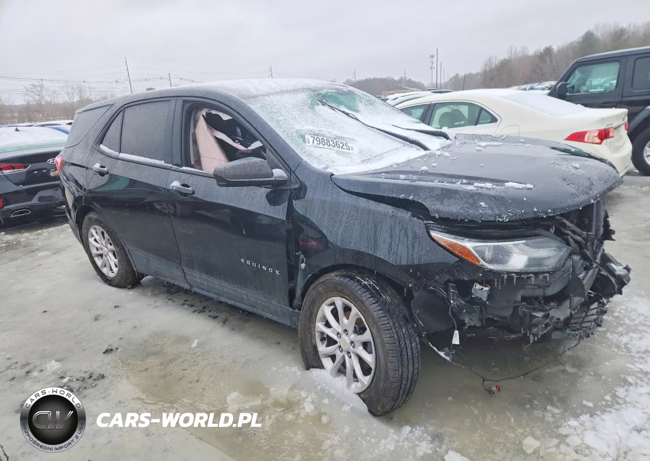 2019 Chevrolet Equinox Ls VIN:3GNAXHEV9KL344202 - 4
