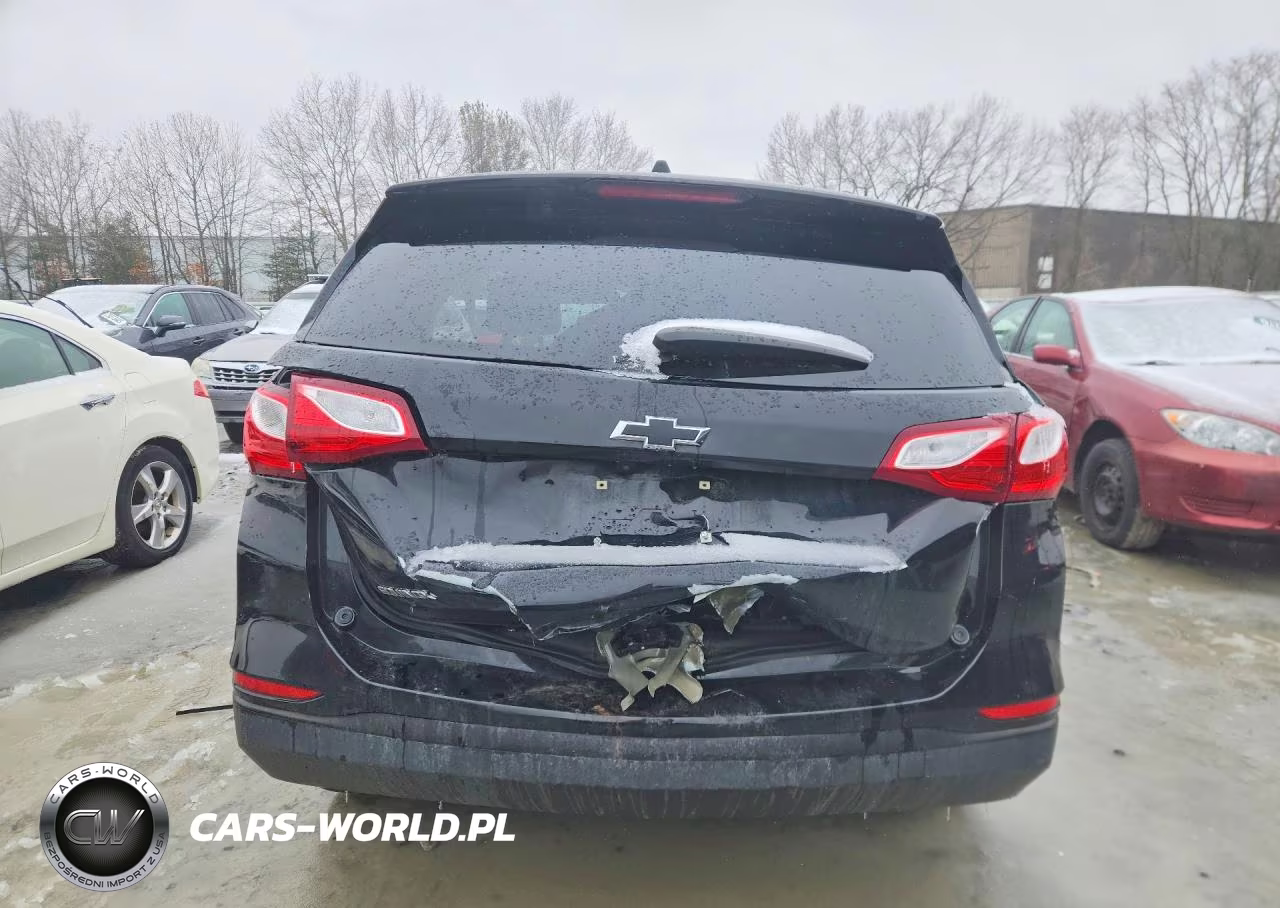 2019 Chevrolet Equinox Ls VIN:3GNAXHEV9KL344202 - 6