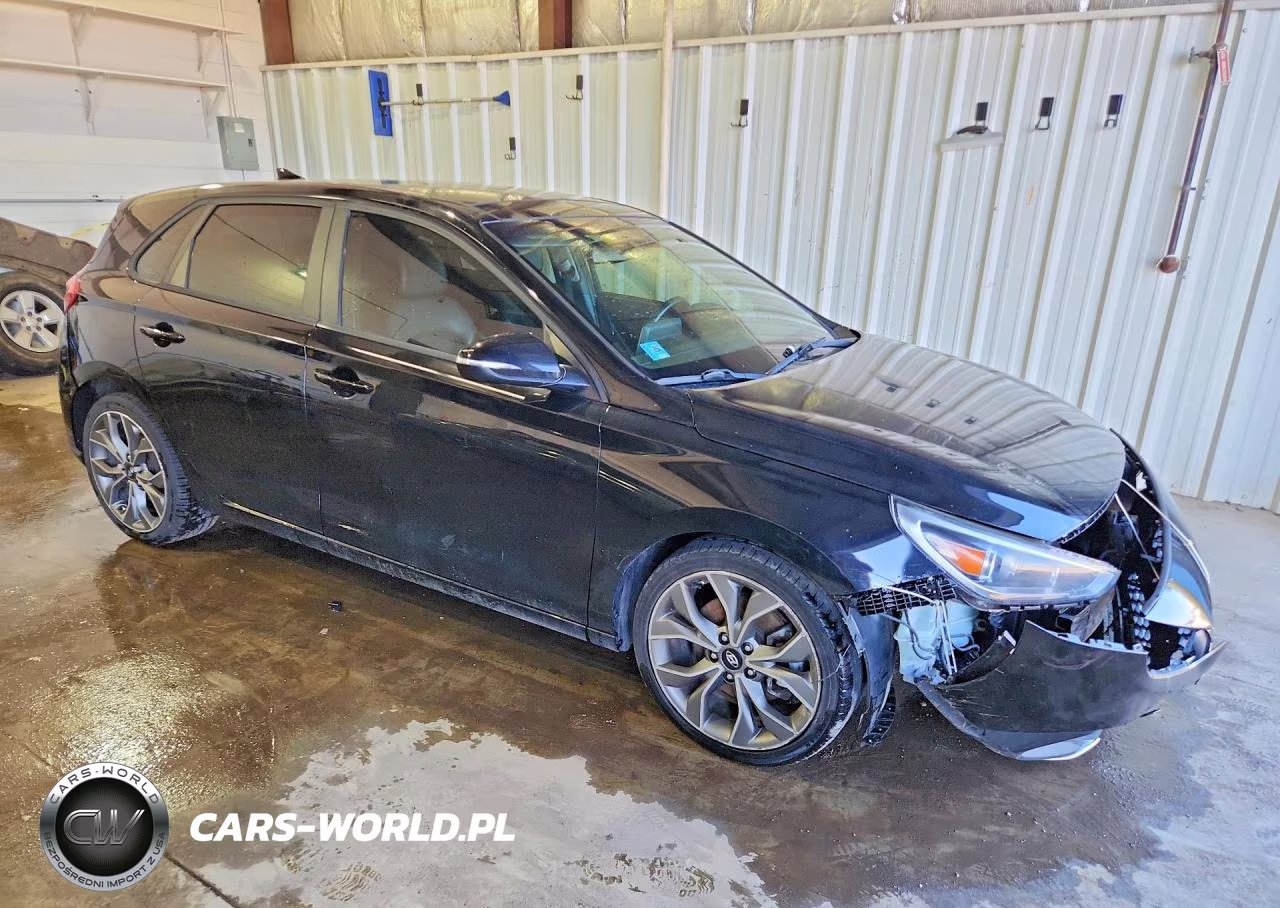 2019 Hyundai Elantra Gt N Line VIN:KMHH55LC7KU118769 - 4
