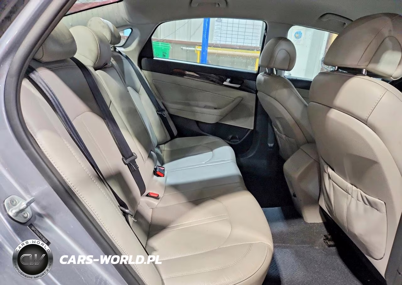 2015 Hyundai Sonata Eco VIN:5NPE24AA2FH126533 - 10