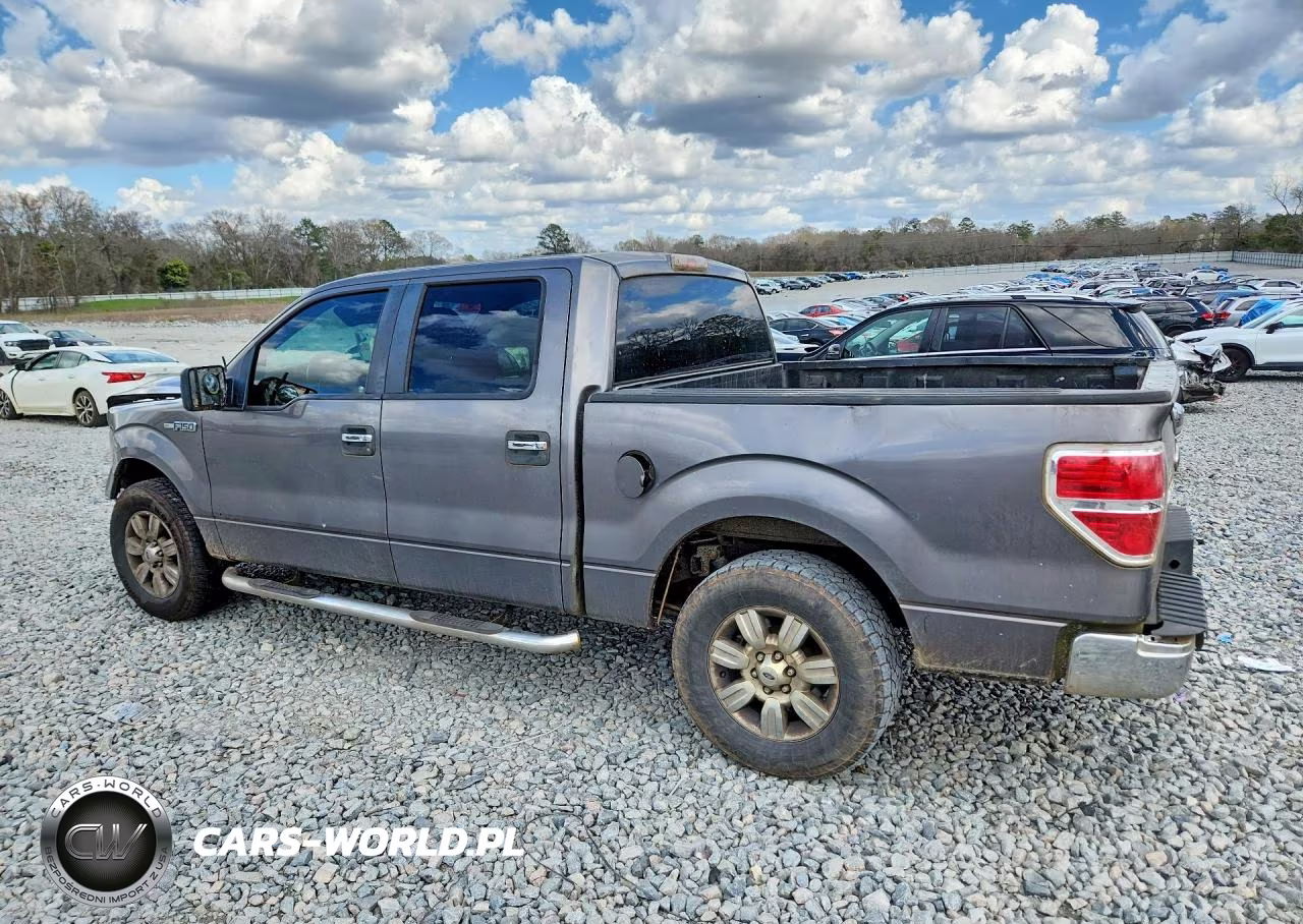 2010 Ford F150 Supercrew VIN:1FTEW1C8XAFC70475 - 2
