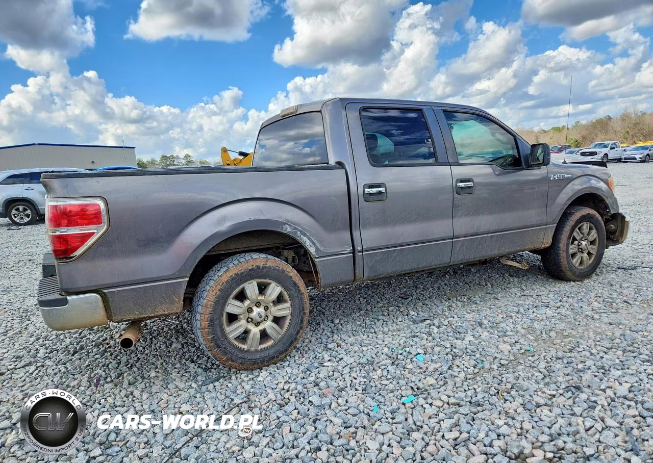 2010 Ford F150 Supercrew VIN:1FTEW1C8XAFC70475 - 3