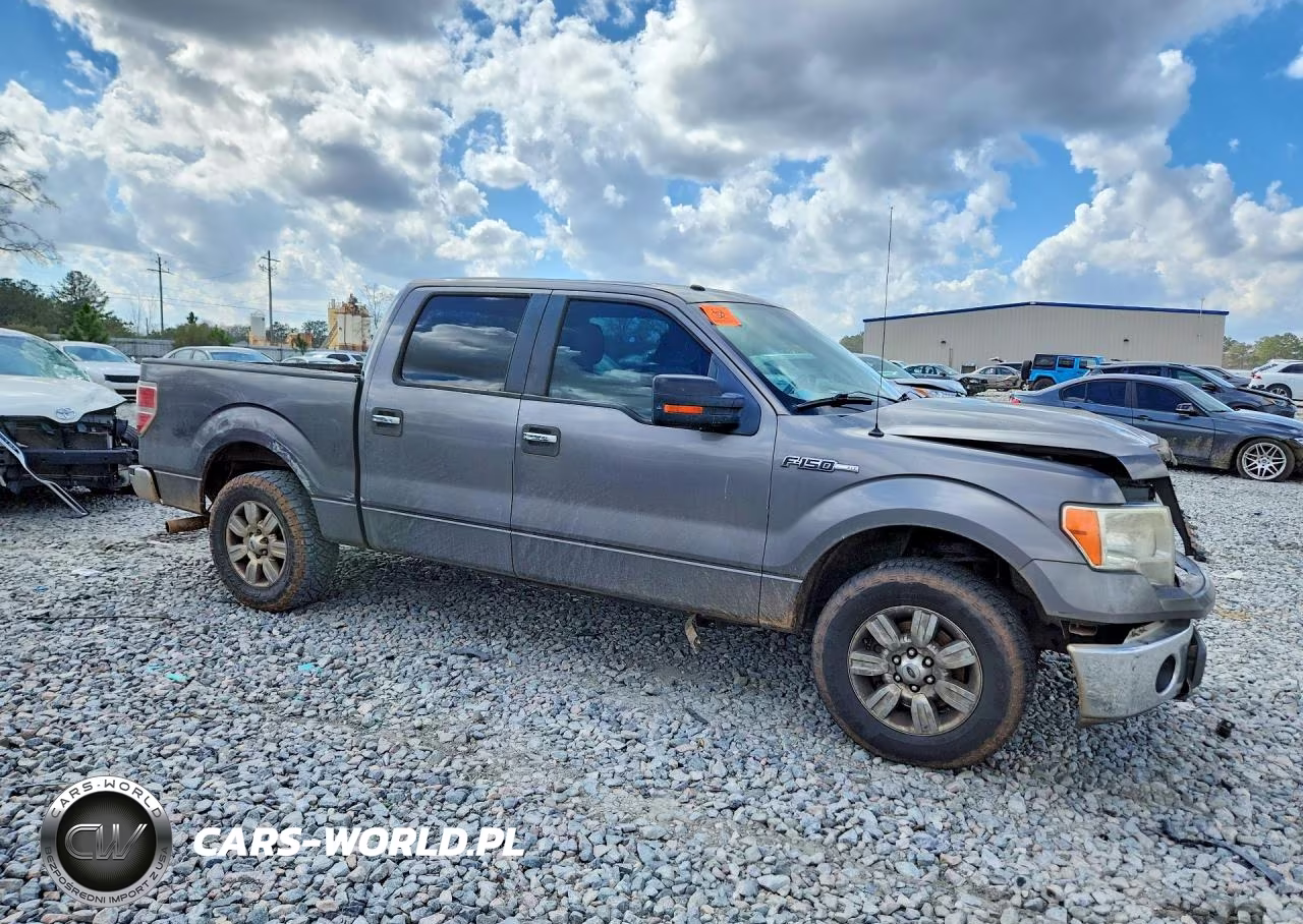 2010 Ford F150 Supercrew VIN:1FTEW1C8XAFC70475 - 4