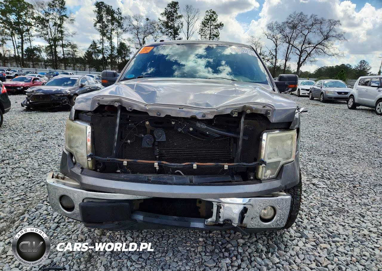 2010 Ford F150 Supercrew VIN:1FTEW1C8XAFC70475 - 5