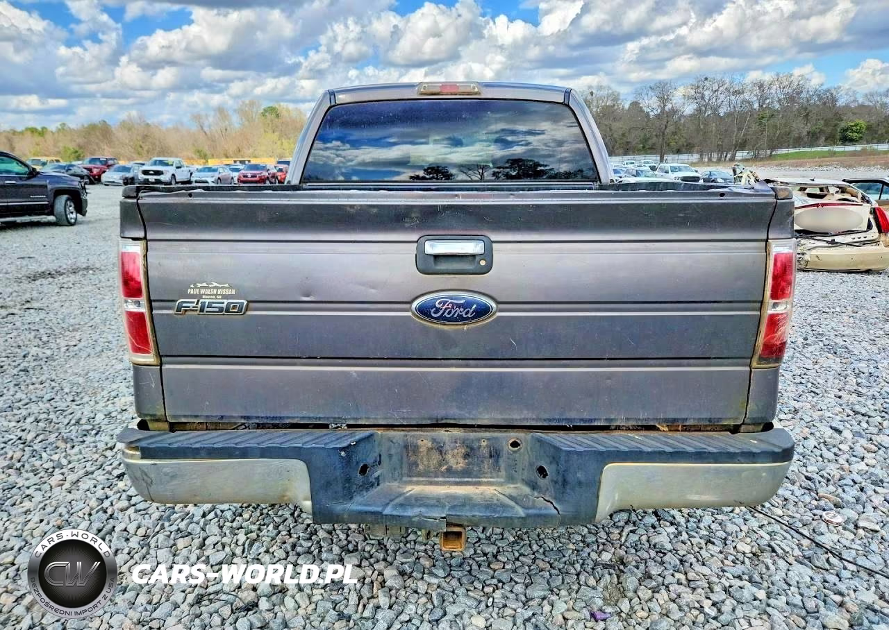 2010 Ford F150 Supercrew VIN:1FTEW1C8XAFC70475 - 6