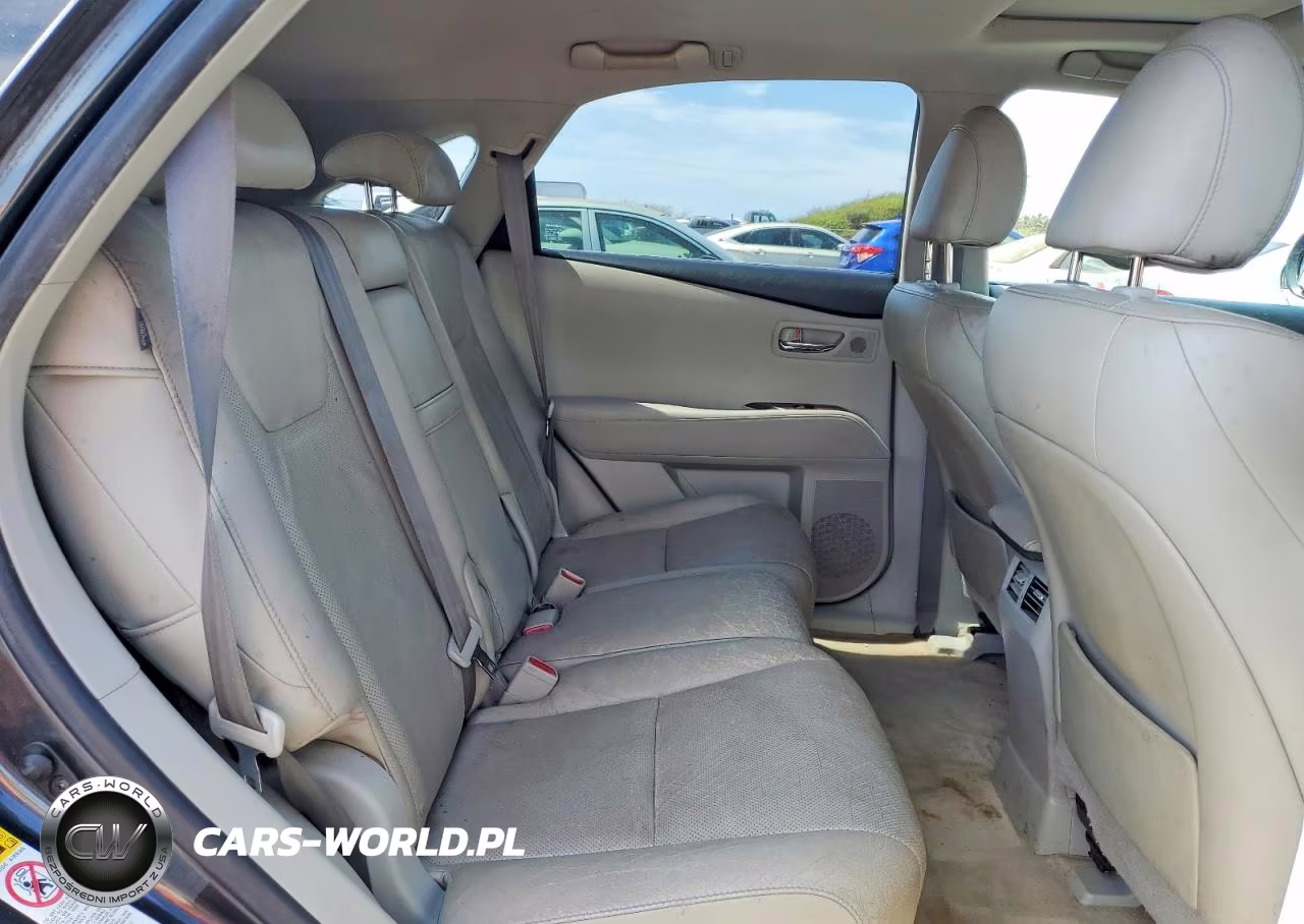 2010 Lexs Rx 350 VIN:JTJZK1BA1A2002646 - 11