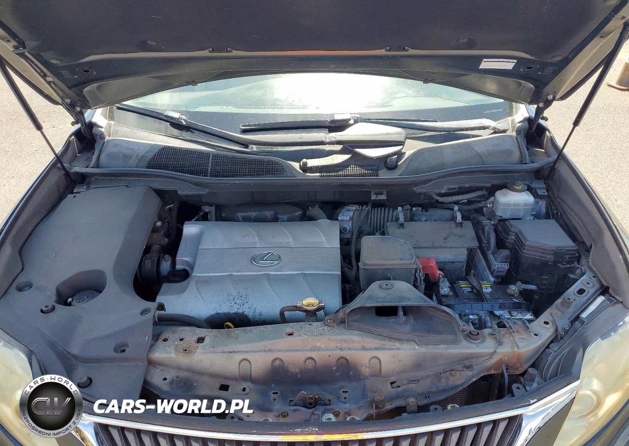 2010 Lexs Rx 350 VIN:JTJZK1BA1A2002646 - 12