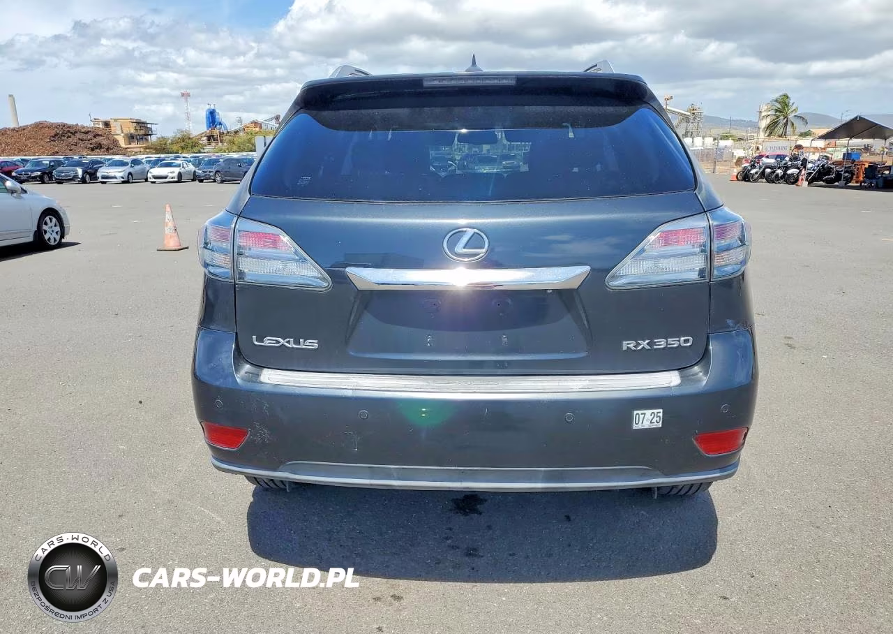 2010 Lexs Rx 350 VIN:JTJZK1BA1A2002646 - 6