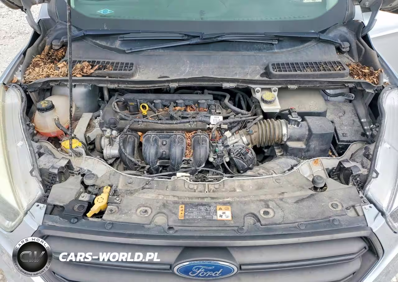 2017 Ford Escape S VIN:1FMCU0F79HUF07100 - 12