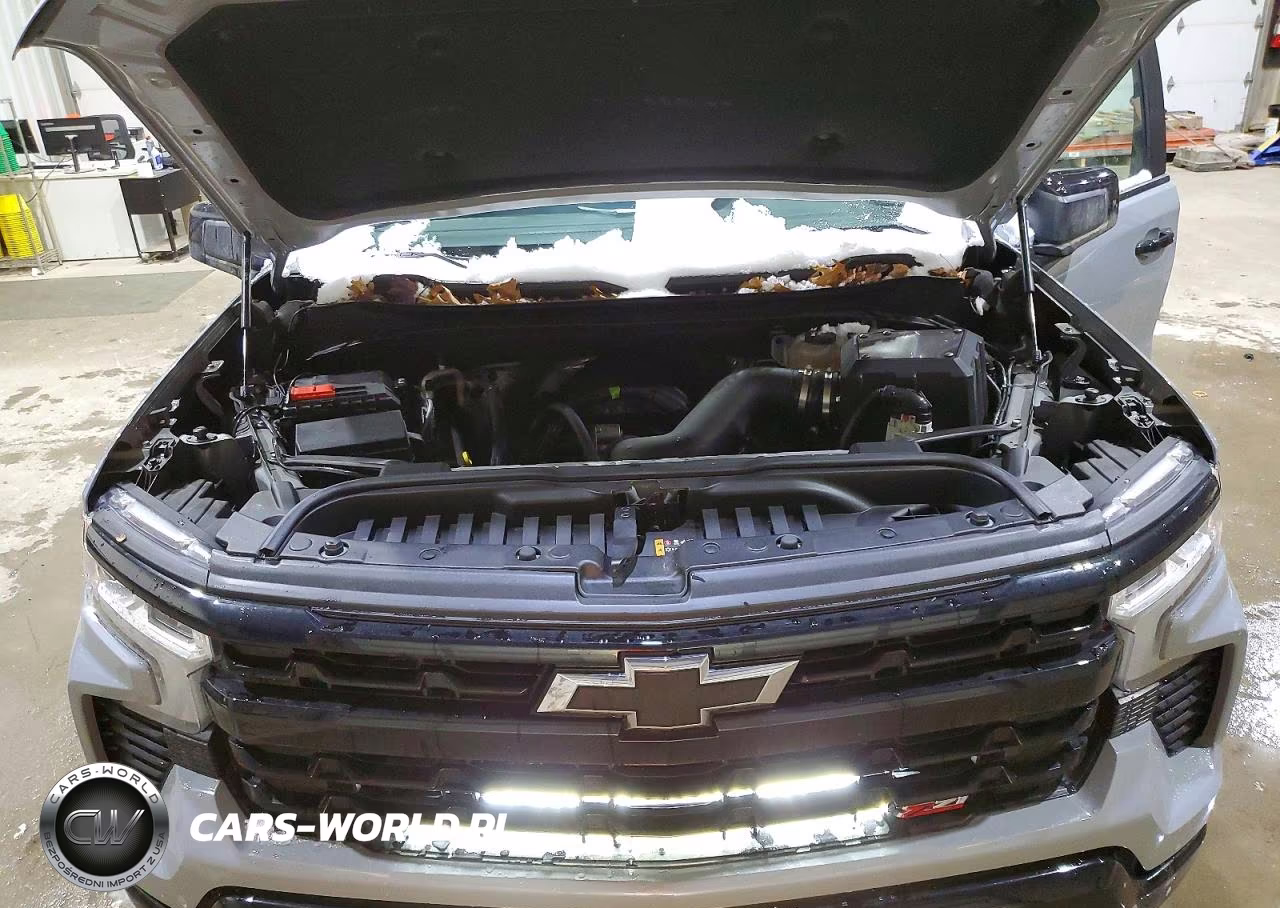 2024 Chevrolet Silverado K1500 Lt Trail Boss VIN:3GCUDFEL2RG179517 - 11